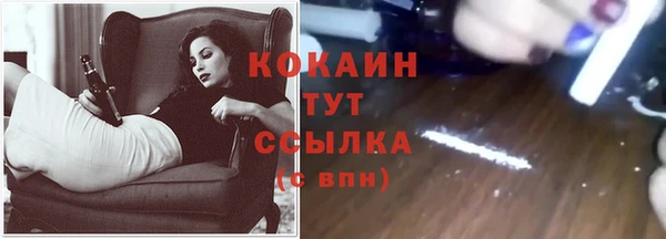 СК Магас