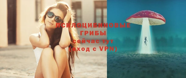 мдпв Лихославль