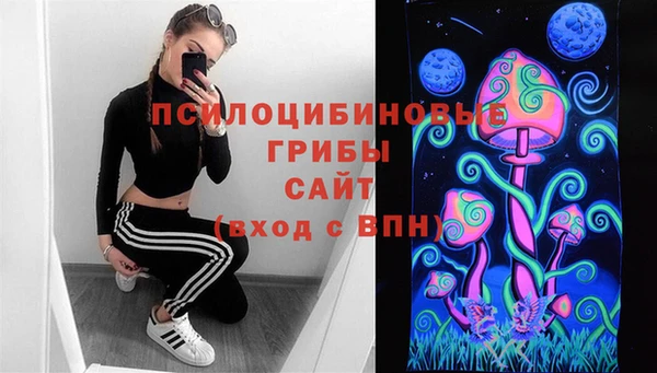 2c-b Липки