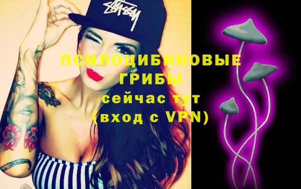 2c-b Липки