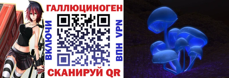 Псилоцибиновые грибы мицелий  продажа наркотиков  Чердынь 